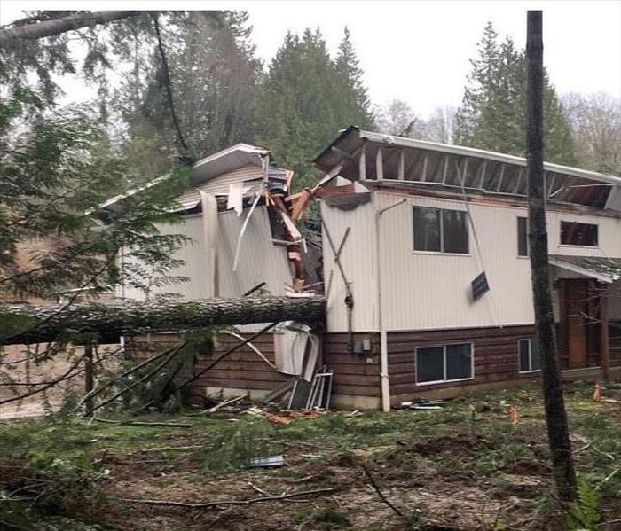 home split in half from a falling tree.