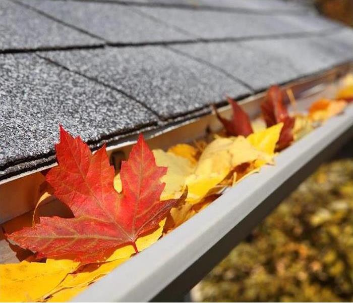 Leaves in house roof gutter